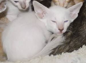 10846090_10153348970347119_4184082667132309598_n